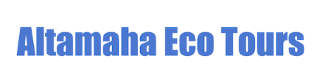 Altamaha Eco Tours